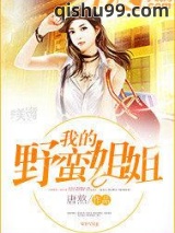 我的野蛮姐姐小说