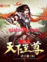 三国之天下至尊小说
