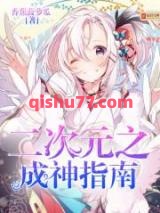 二次元之成神指南小说