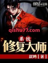 系统修复大师小说