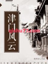 津门风云小说