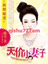 新婚秘爱：天价小妻子小说