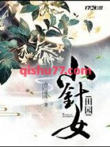 田园小针女小说