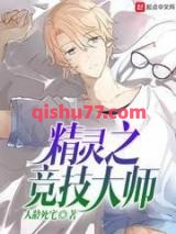 精灵之竞技大师小说