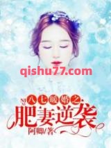 八七暖婚之肥妻逆袭小说