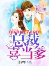一窝三宝：总裁喜当爹小说