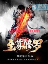 至尊修罗小说