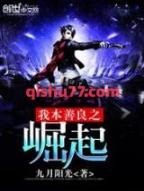 我本善良之崛起小说