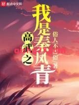 高武之我是秦凤青小说
