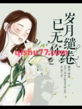 岁月缱绻已无你小说