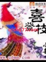 喜登枝小说