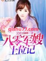 八零军嫂上位记小说