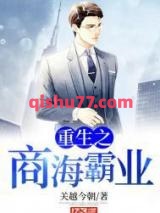 重生之商海霸业小说