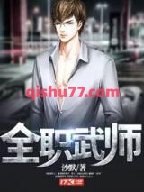 全职武师小说