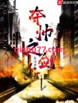 夺帅之剑小说