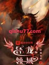 钚龙领域小说