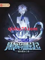 精灵之黑暗崛起小说