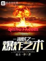 海贼之爆炸艺术小说