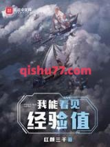 我能看见经验值小说