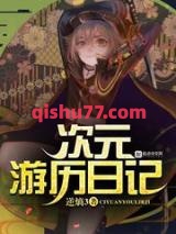 次元游历日记小说