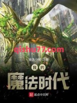 我的魔法时代小说