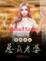 我的冰山总裁老婆小说