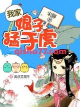 我家娘子猛于虎小说