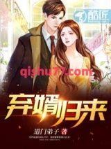 弃婿归来小说