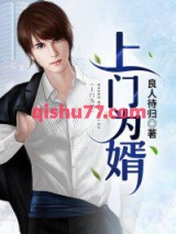 上门为婿小说