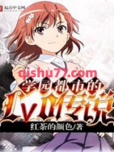 学园都市的Lv0传说小说