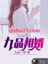 九品相婿小说