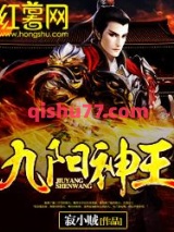 九阳神王小说