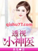 透视小神医小说