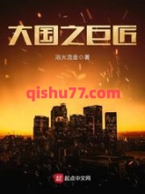 大国之巨匠小说