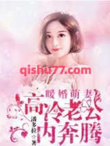 暖婚萌妻：高冷老公内奔腾小说