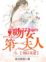 别后重逢：吻安，第一夫人！小说
