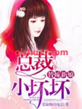 替嫁新娘：总裁小坏坏小说