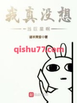 我真没想当巨星啊小说