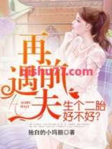 再遇前夫，生个二胎好不好？小说