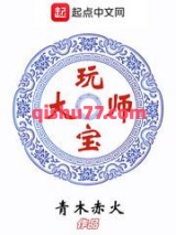 玩宝大师小说