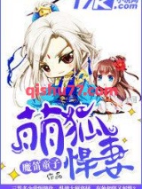 萌狐悍妻小说