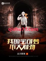 我的宝可梦不大对劲小说