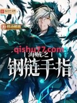 海贼之钢链手指小说
