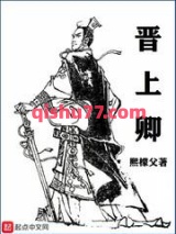 晋上卿小说