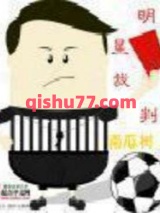 明星裁判小说