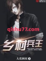 乡村兵王小说