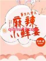 重生九零之麻辣小鲜妻小说