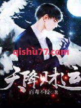 天降财运小说