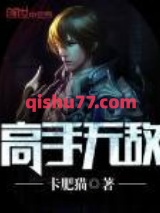 高手无敌小说
