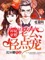 神秘豪婚：老公轻点宠小说